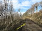 Photo 12X8 Forestry Road In South Woods Thirlby South Woods Cover The Stee C2014