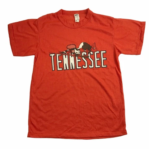 Vtg Tennessee Volunteers Mens M Smokey Dog Mesh Single Stitch Jersey T Shirt (J2 Cover