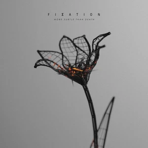 Fixation More Subtle Than Death (Vinyl) 12" Album (Clear vinyl) - Picture 1 of 2