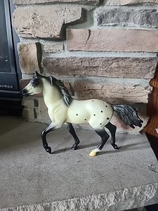 blue box appaloosa horse - Picture 1 of 10