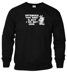 Sudadera Yoda Ofendida Tienes Novedad Grosera Desagradable Divertida Regalo Hombres Prenda para el torso Jumper - Imagen 1 de 4