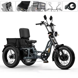 Tour 2400W Dual Motor e trikes for adults 48V 30AH Dual Battery Long Range - Picture 1 of 11
