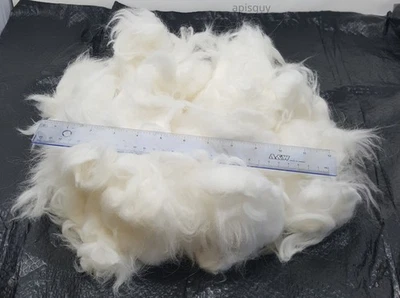 Angora Rabbit Wool  1.2 oz Loose Fiber-Clean-Spin-Weave-Felt-Craft. White 3.5 in - Image 1 of 4