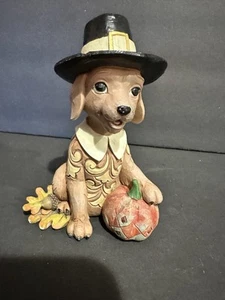 Jin Shore Turkey Taster Dog With Pilgrim Hat 2023 Thanksgiving Read - Picture 1 of 8