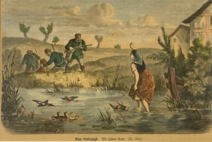 Alter Stahlstich koloriert Eine Entenjagd Die zahme Ente im Holzrahmen wohl 1878 - Bild 1 von 7