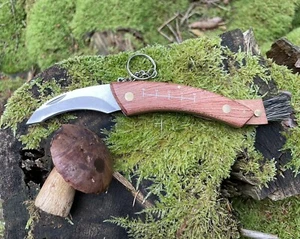 Pilzmesser mit klappbarer Bürste und geöltem Echtholzgriff - Bild 1 von 6