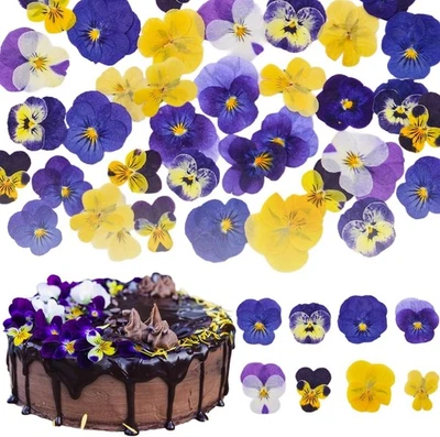 50 Pcs 8 Kinds Natural Dried Pressed Edible Flowers for Cake Topper Tricolors  - Image 1 of 4