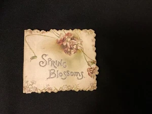 Vintage Victorian Spring Blossoms Easter type Card late 1800s TUCK Howell/Price - Imagen 1 de 15