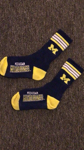 Michigan Wolverines Navy Blue and Gold Socks One Size Cover
