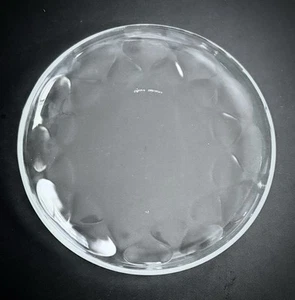 Pyrex Ovenware 8.5" Clear Glass Teardrop Dimpled Lunch Plate USA - Picture 1 of 4