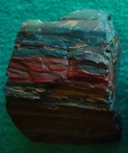 Petrified Wood SW USA Wonderful Color / Bark Texture 2 3/4" W x 2"H x 1" Thick - Picture 1 of 5
