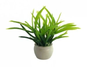 Dolls House Green Plant in White Pot Miniature Garden or Home Accessory 1:12 - Picture 1 of 8