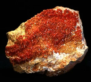 4.25" Superb Cherry Red Vanadinite Crystals on Matrix,  Morocco! ! V275 - Picture 1 of 4