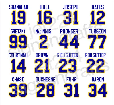 Calcomanía adhesiva St Louis Blues años 90 - Casco Shanahan #99 Oates MacInnis Turgeon+ Foto 1 de 4