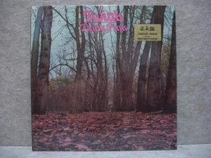 Twink Think Pink 180g Akarma LP AK 064 g/f Sealed Prog No Barcode Hyper Sticker - Imagen 1 de 3