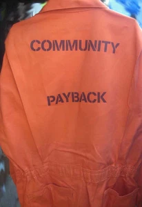 COMMUNITY PAYBACK MISFITS Jail Inmate Orange Jumpsuit Costume Prison Detention - Picture 1 of 1