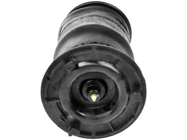 Muelle neumático para Chevy Trailblazer EXT 2002-2006 2003 2004 2005 RG463NC Foto 1 de 1