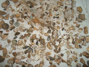 Rock Stone Geode Crystal Project Discovery Gift Kid Classroom Collect USA Seller - Picture 1 of 11