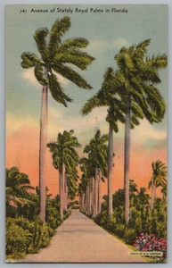 Cartolina Avenue of Stately Royal Palms in Florida - Foto 1 di 2