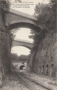 25 Freilandausflug 32239 - Bild 1 von 1