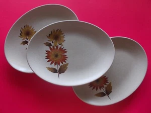 Johnson of Australia - Brothers Bros - Golden Glory Rose Server / Oval Plate - Picture 1 of 4