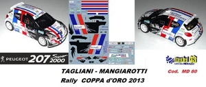 PEUGEOT 207 S2000 -  TAGLIANI  -  Rally COPPA d'ORO  2013 - Picture 1 of 1