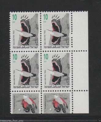 ISRAEL 10 NIS Pájaros Cantores Tab Esquina Bloque Sello Definitivo Pájaro Wallcreeper MNH  Foto 1 de 2