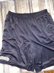 MOUNT UNION PURPLE RAIDERS Shorts VINTAGE Official Team Gear NIKE XL Mesh Black - Picture 1 of 5