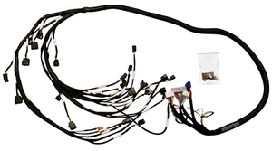 K20 K24 K Series Tucked Wiring Harness For RHD LHD RWD K-Swap Integra CRX EK EG - Picture 1 of 7