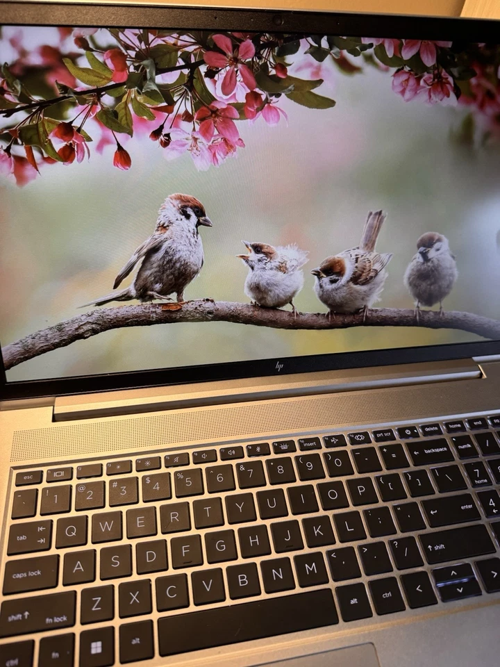 HP Elitebook. Wolf Security 650. Win 11. 15,6. G10. I7 Foto 1 de 4