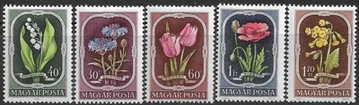 HUNGARY - 1951 - FLOWERS SET OF 5 - MM - SG 1202/1206 - CAT £15 - Image 1 of 2