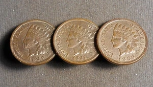 Broche: 3 cabezas indias 1c en un broche pinback bien formado, 1881-1889-1881 de alto - Imagen 1 de 3