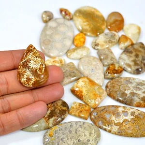 25Pcs 972Ct Natural Fossil Coral Loose Cabochon Gemstone Lot 55x30 15x10mm #3174 - Picture 1 of 6