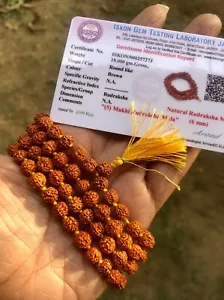 LAB CERTIFIED 5 Mukhi RUDRAKSHA Rudraksh Mala ROSARY 108+1 Prayer Beads 6 mm - Picture 1 of 8