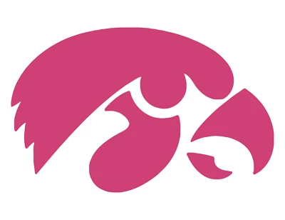 Iowa Decal Sticker Logo - Image 1 of 3