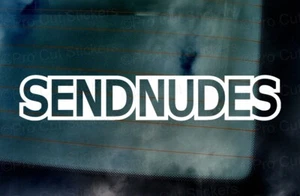SEND NUDES Funny Novelty Internet Meme Car Vinyl Die Cut Stickers Decals ref:7 - Picture 1 of 2