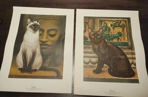 Siamese Burmese Cat Buddha Prints ~1965~ Girard Goodenow Vintage Art Woman's Day - Picture 1 of 10