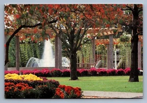 Cartolina d'epoca Oglebay Wheeling West Virginia Waddington Gardens 4 x 6 - Foto 1 di 2