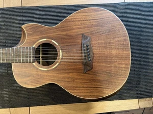 Washburn Comfort G-Mini 55 Koa Travel Guitar Incl Padded Gig Bag - Picture 1 of 11