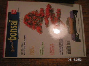 France Bonsaï n°10 Ameliorer Bonsaï Bon pot Racines - Picture 1 of 1