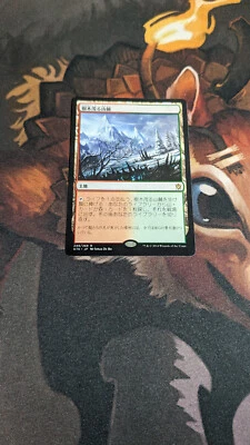 Wooded Foothills Japanese - Khans of Tarkir  - Magic MTG Rare Fetch Land - Image 1 of 2