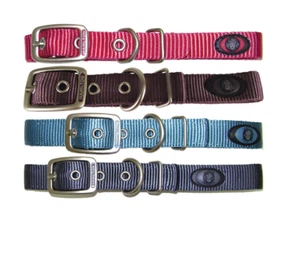 Hamilton Single Thick Nylon Deluxe Collar para perros Elija el color y el tamaño - Imagen 1 de 5