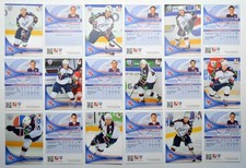 2013-14 KHL Sibir Novosibirsk - Pick a Player Card