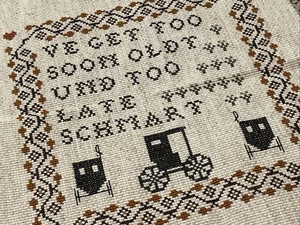 Completed Cross Stitch Amish Saying Ve Get Too Soon Oldt Und Too Late Schmart - Picture 1 of 3
