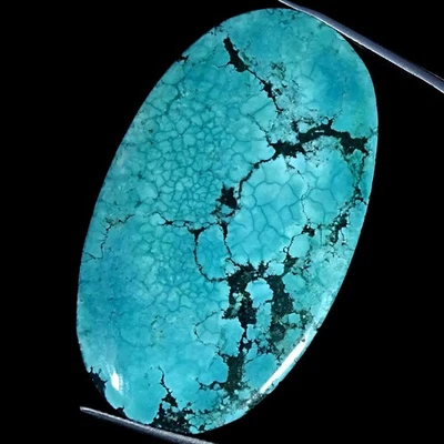 Piedra preciosa cabujón ovalado turquesa creada en laboratorio 59,40 quilates RARA 28X48X5 mm Foto 1 de 4