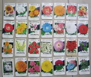 Lot of 28 Old Vintage 1950's - FLOWER SEED PACKETS - Lone Star - EMPTY - Picture 1 of 4