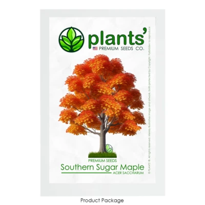Southern Sugar Maple Tree | Semillas Premium | Acer saccharum 'Fall' | Plants'® Foto 1 de 4