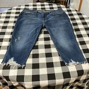 Judy Blue Skinny Fit Capri Jeans Size 22W x 21 Frayed Raw Hem Stretch Distressed - Picture 1 of 13