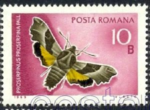 1969 Butterfly,Willowherb hawkmoth/Pallas,Schmetterlin,Papillon,Romania,2772,MNH - Picture 1 of 1