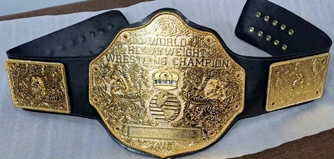 Fandu Big Gold  Wrestling Championship Title Belt black Strap adult size adult Cover